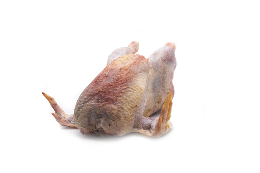 gallina intera2