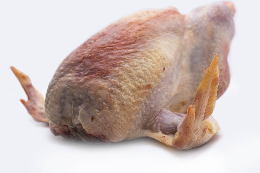 gallina intera3